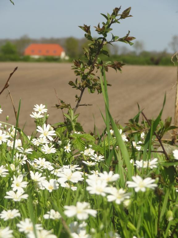 Land & Meer Hasselberg  외부 사진